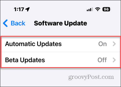 beta or automatic updates iphone