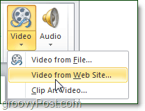 Video from web site option in PowerPoint 2010