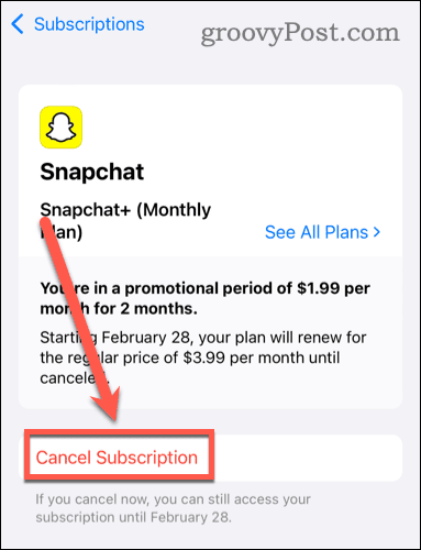 Snapchat Plus Cancel Subscription Option